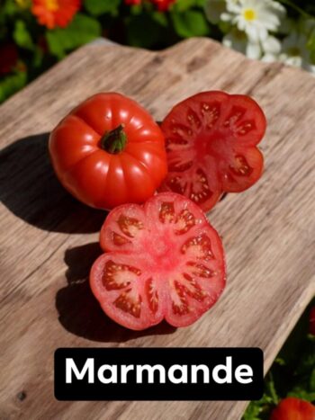 Marmande